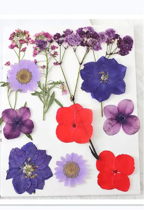 DIY Dried Flower Bookmark Kit